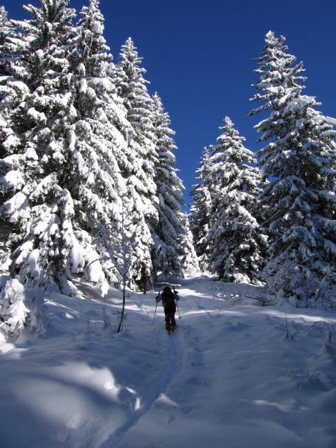 Rochers des Enclaves 004.jpg