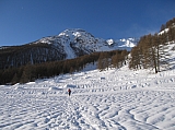 IMG_0211.jpg