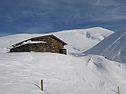 IMG_0117.jpg