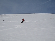 IMG_0133.jpg