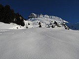 IMG_0095.jpg