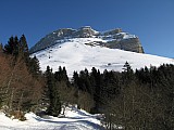 IMG_0104.jpg