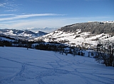 IMG_0037.jpg
