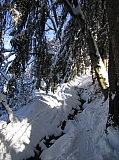 IMG_0041.jpg