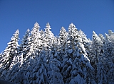 IMG_0052.jpg