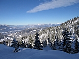 IMG_0062.jpg