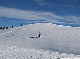 IMG_0068.jpg