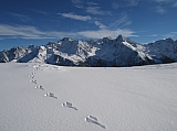 IMG_0074.jpg