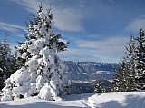 IMG_0092.jpg