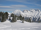 IMG_0093.jpg
