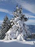 IMG_0096.jpg