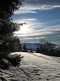 IMG_0131.jpg