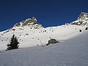 IMG_0179.jpg