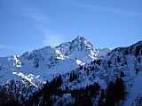 IMG_0006.jpg