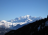 IMG_0173.jpg