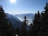 IMG_0184.jpg