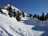 IMG_0188.jpg