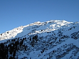 IMG_0229.jpg
