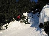 IMG_0230.jpg