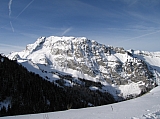 IMG_0095.jpg