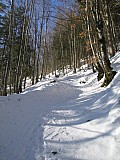 IMG_0116.jpg IMG_0116.jpg