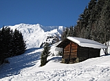 IMG_0211.jpg