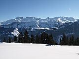 IMG_0222.jpg
