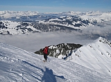 IMG_0245.jpg