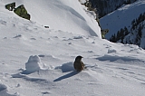 IMG_0246rc.jpg