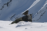 IMG_0247rc.jpg