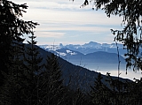 IMG_0328.jpg