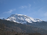 IMG_0339.jpg
