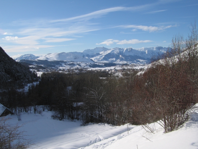 IMG_0040.jpg