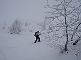 IMG_0008.jpg