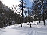 IMG_0032.jpg