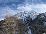 IMG_0037.jpg