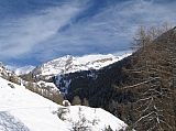 IMG_0038.jpg