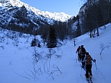 IMG_0041.jpg