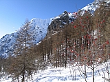 IMG_0093.jpg