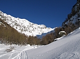 IMG_0095.jpg