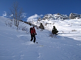 IMG_0212.jpg
