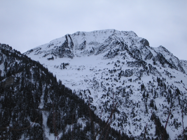 IMG_0215.jpg
