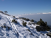 IMG_0268.jpg