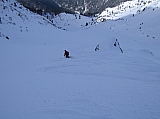 IMG_0311.jpg