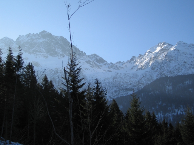 IMG_0001.jpg