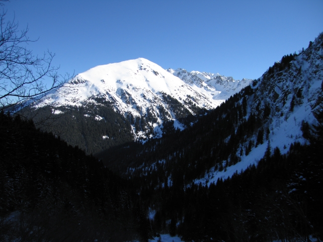 IMG_0006.jpg