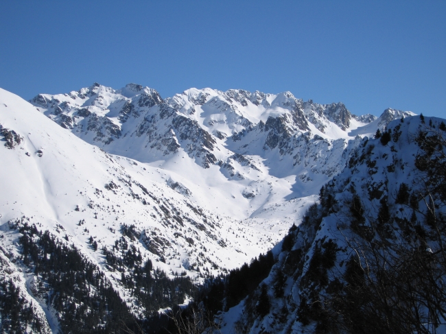 IMG_0011.jpg