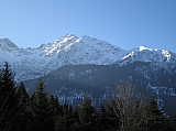 IMG_0000.jpg
