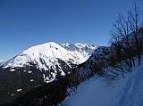 IMG_0010.jpg