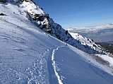 IMG_0014.jpg